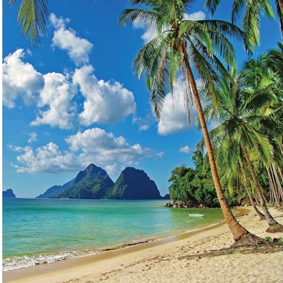 Meet your Posher, Dena - Picture 2 of 2